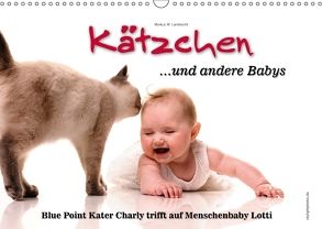 Kätzchen und andere Babys (Wandkalender 2018 DIN A3 quer) von W. Lambrecht,  Markus