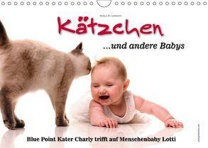 Kätzchen und andere Babys (Wandkalender 2018 DIN A4 quer) von W. Lambrecht,  Markus