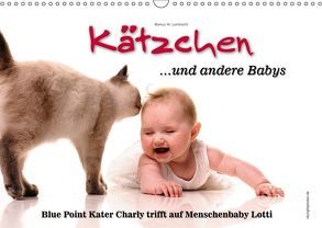 Kätzchen und andere Babys (Wandkalender 2019 DIN A3 quer) von W. Lambrecht,  Markus