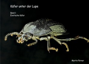 Käfer unter der Lupe Band1 Exotische Käfer von Pörner,  Martin