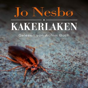 Kakerlaken (Ein Harry-Hole-Krimi 2) von Buch,  Achim, Frauenlob,  Günther, Nesbø,  Jo