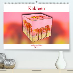 Kakteen in kubischen Bildern (Premium, hochwertiger DIN A2 Wandkalender 2021, Kunstdruck in Hochglanz) von Schwarze,  Nina