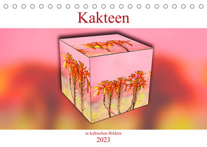 Kakteen in kubischen Bildern (Tischkalender 2023 DIN A5 quer) von Schwarze,  Nina