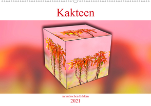 Kakteen in kubischen Bildern (Wandkalender 2021 DIN A2 quer) von Schwarze,  Nina