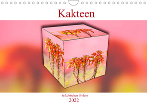 Kakteen in kubischen Bildern (Wandkalender 2022 DIN A4 quer) von Schwarze,  Nina