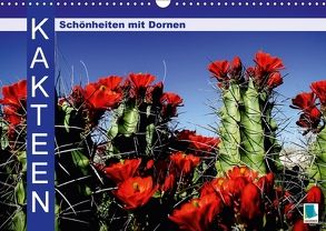 Kakteen: Schönheiten mit Dornen (Wandkalender 2018 DIN A3 quer) von CALVENDO