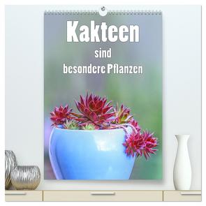 Kakteen sind besondere Pflanzen (hochwertiger Premium Wandkalender 2024 DIN A2 hoch), Kunstdruck in Hochglanz von Brunner-Klaus,  Liselotte