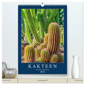 Kakteen – Stacheliges aus Südamerika (hochwertiger Premium Wandkalender 2024 DIN A2 hoch), Kunstdruck in Hochglanz von Meyer,  Dieter