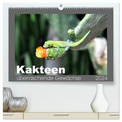 Kakteen – überraschende Gewächse (hochwertiger Premium Wandkalender 2024 DIN A2 quer), Kunstdruck in Hochglanz von Bade,  Uwe