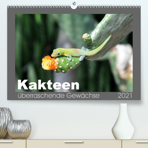 Kakteen – überraschende Gewächse (Premium, hochwertiger DIN A2 Wandkalender 2021, Kunstdruck in Hochglanz) von Bade,  Uwe