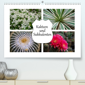 Kakteen und Sukkulenten (Premium, hochwertiger DIN A2 Wandkalender 2023, Kunstdruck in Hochglanz) von Gierok,  Steffen