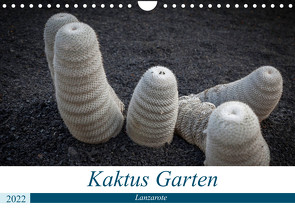 Kaktus Garten Lanzarote (Wandkalender 2022 DIN A4 quer) von Krieger,  Peter