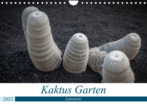 Kaktus Garten Lanzarote (Wandkalender 2023 DIN A4 quer) von Krieger,  Peter