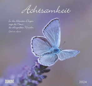 Achtsamkeit 2024 – DUMONT Wandkalender – mit den wichtigsten Feiertagen – Format 38,0 x 35,5 cm