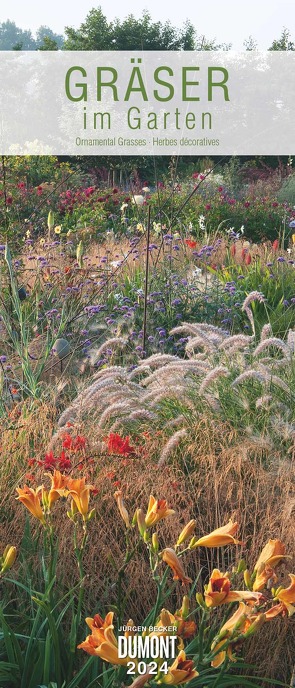 Kal. 2024 Gräser im Garten von Becker Jürgen