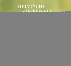 Heimische Vogelwelt 2024 – DUMONT Wandkalender – mit den wichtigsten Feiertagen – Format 38,0 x 35,5 cm