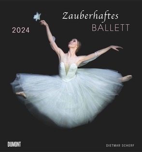 Zauberhaftes Ballett 2024 – Wandkalender 45,0 x 48,0 cm – Spiralbindung von Scherf,  Dietmar