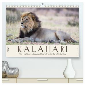 Kalahari – Tierreichtum im Kgalagadi Transfrontier Park, Südafrika (hochwertiger Premium Wandkalender 2024 DIN A2 quer), Kunstdruck in Hochglanz von Trüssel,  Silvia