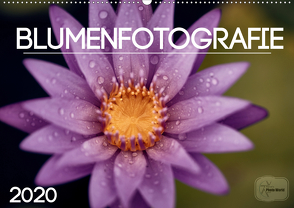 Kalender / Nr. 10 – Blumen (Wandkalender 2021 DIN A2 quer) von Hartig,  Marcel