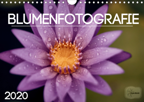 Kalender / Nr. 10 – Blumen (Wandkalender 2021 DIN A4 quer) von Hartig,  Marcel