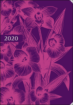 Kalenderbuch Orchidee Kalender 2020 von Weingarten