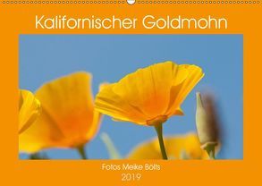 Kalifornischer Goldmohn (Wandkalender 2019 DIN A2 quer) von Bölts,  Meike