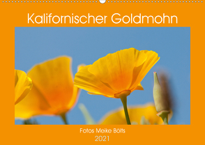 Kalifornischer Goldmohn (Wandkalender 2021 DIN A2 quer) von Bölts,  Meike