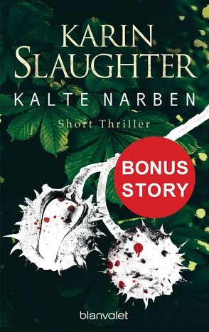 Kalte Narben von Slaughter,  Karin