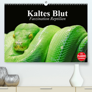 Kaltes Blut. Faszination Reptilien (Premium, hochwertiger DIN A2 Wandkalender 2022, Kunstdruck in Hochglanz) von Stanzer,  Elisabeth
