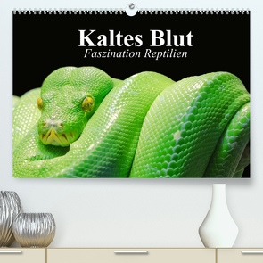 Kaltes Blut. Faszination Reptilien (Premium, hochwertiger DIN A2 Wandkalender 2022, Kunstdruck in Hochglanz) von Stanzer,  Elisabeth