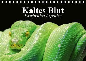 Kaltes Blut. Faszination Reptilien (Tischkalender 2019 DIN A5 quer) von Stanzer,  Elisabeth