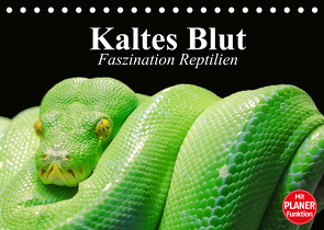 Kaltes Blut. Faszination Reptilien (Tischkalender 2022 DIN A5 quer) von Stanzer,  Elisabeth