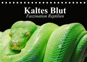 Kaltes Blut. Faszination Reptilien (Tischkalender 2022 DIN A5 quer) von Stanzer,  Elisabeth