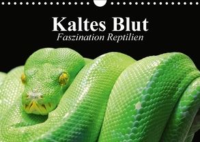 Kaltes Blut. Faszination Reptilien (Wandkalender 2018 DIN A4 quer) von Stanzer,  Elisabeth