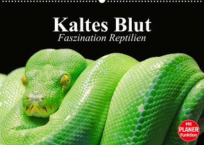 Kaltes Blut. Faszination Reptilien (Wandkalender 2023 DIN A2 quer) von Stanzer,  Elisabeth