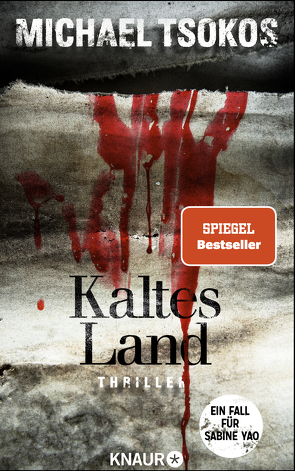 Kaltes Land von Tsokos,  Michael