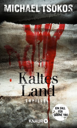 Kaltes Land von Tsokos,  Prof. Dr. Michael