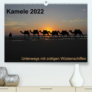 Kamele 2022 – Unterwegs mit zottigen WüstenschiffenCH-Version (Premium, hochwertiger DIN A2 Wandkalender 2022, Kunstdruck in Hochglanz) von Weber,  Melanie