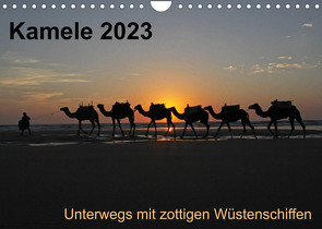 Kamele 2023 – Unterwegs mit zottigen WüstenschiffenCH-Version (Wandkalender 2023 DIN A4 quer) von Weber,  Melanie