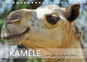 KAMELE… eine Reise durch den Oman. (Tischkalender 2023 DIN A5 quer) von Reining,  Sabine