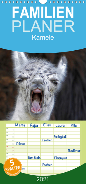 Kamele – Familienplaner hoch (Wandkalender 2021 , 21 cm x 45 cm, hoch) von Berg,  Martina