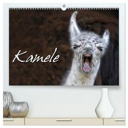 Kamele (hochwertiger Premium Wandkalender 2024 DIN A2 quer), Kunstdruck in Hochglanz von Berg,  Martina