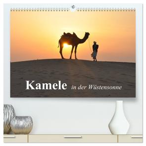 Kamele in der Wüstensonne (hochwertiger Premium Wandkalender 2024 DIN A2 quer), Kunstdruck in Hochglanz von Stanzer,  Elisabeth