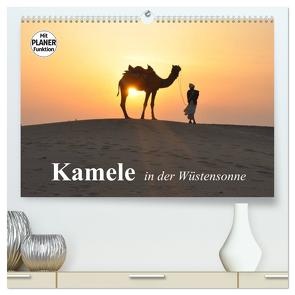 Kamele in der Wüstensonne (hochwertiger Premium Wandkalender 2024 DIN A2 quer), Kunstdruck in Hochglanz von Stanzer,  Elisabeth
