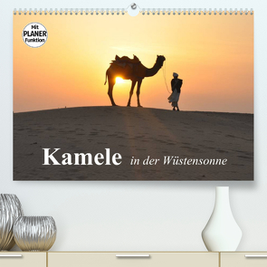 Kamele in der Wüstensonne (Premium, hochwertiger DIN A2 Wandkalender 2023, Kunstdruck in Hochglanz) von Stanzer,  Elisabeth