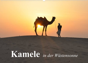 Kamele in der Wüstensonne (Wandkalender 2023 DIN A2 quer) von Stanzer,  Elisabeth