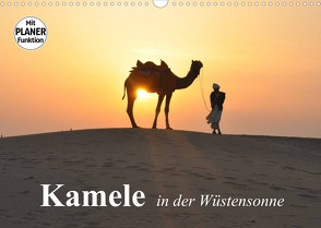 Kamele in der Wüstensonne (Wandkalender 2023 DIN A3 quer) von Stanzer,  Elisabeth