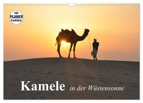 Kamele in der Wüstensonne (Wandkalender 2024 DIN A3 quer), CALVENDO Monatskalender von Stanzer,  Elisabeth