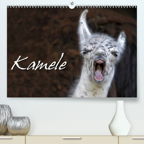 Kamele (Premium, hochwertiger DIN A2 Wandkalender 2023, Kunstdruck in Hochglanz) von Berg,  Martina
