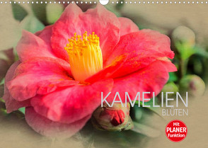 Kamelien Blüten (Wandkalender 2023 DIN A3 quer) von Meutzner,  Dirk